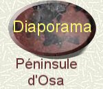 diaporama Osa